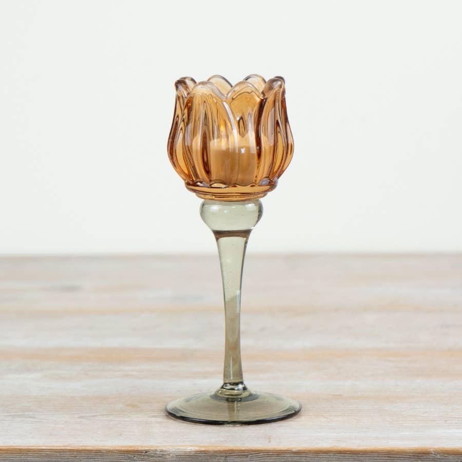 Tulip Glass Candle Holder, 19cm