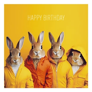 Birthday Bunny Card 16cm