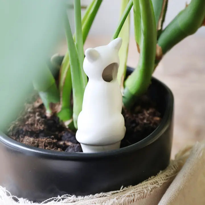 Cat Plant Watering Spike