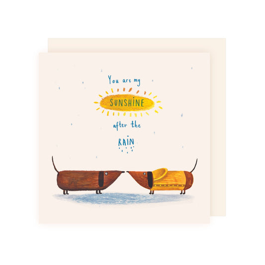 Charley Rabbit - Sunshine After The Rain Card