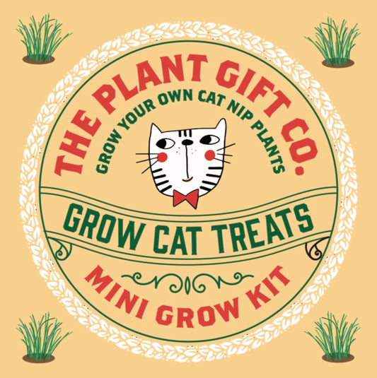 Grow Cat Treats Eco Cat Nip Grow Kit