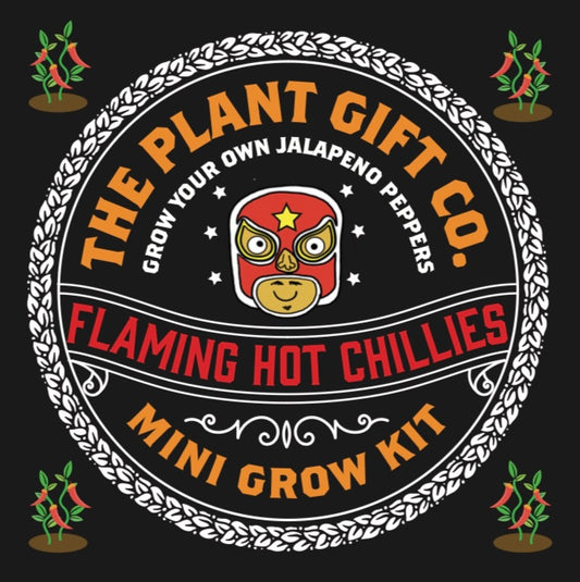 Flaming Hot Chillies Jalapeno Eco Grow Kit