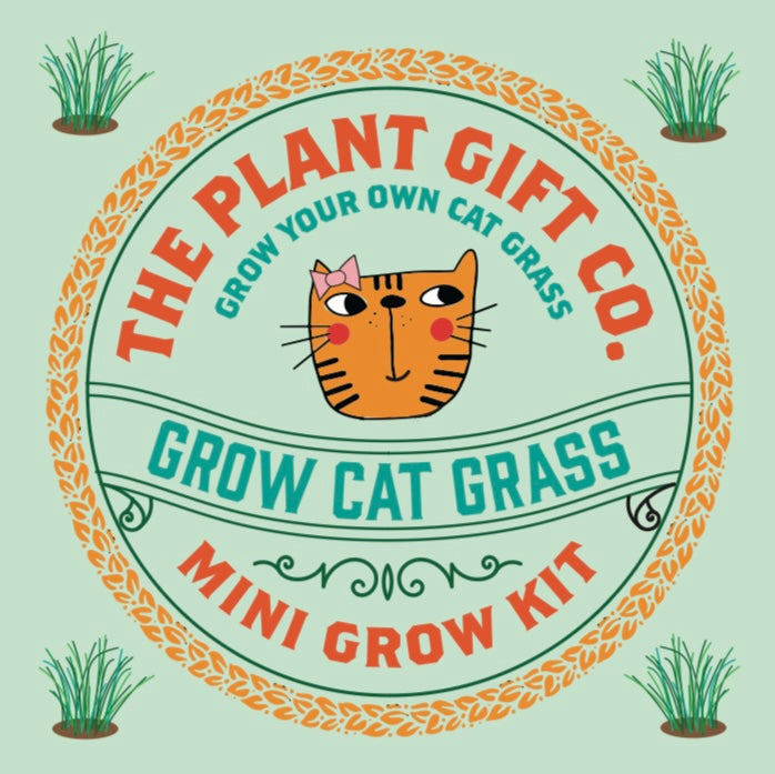 Grow Cat Grass Eco Grow Kit