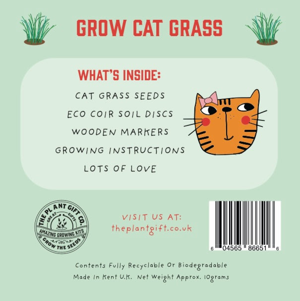 Grow Cat Grass Eco Grow Kit