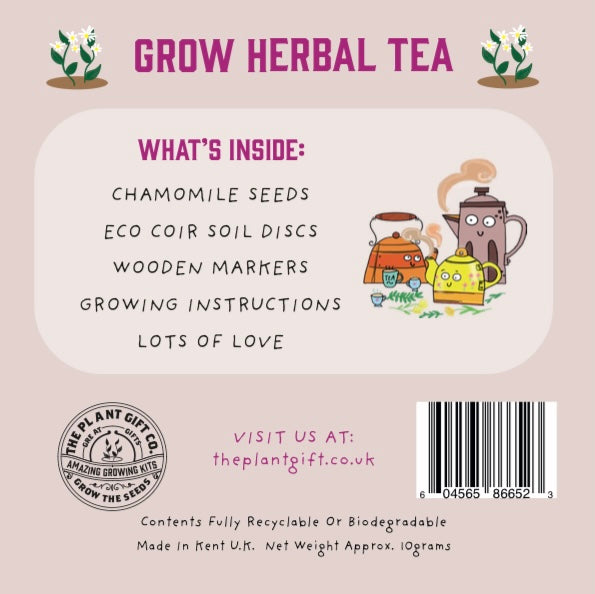 Herbal Tea Eco Grow Your Own Chamomile Plants