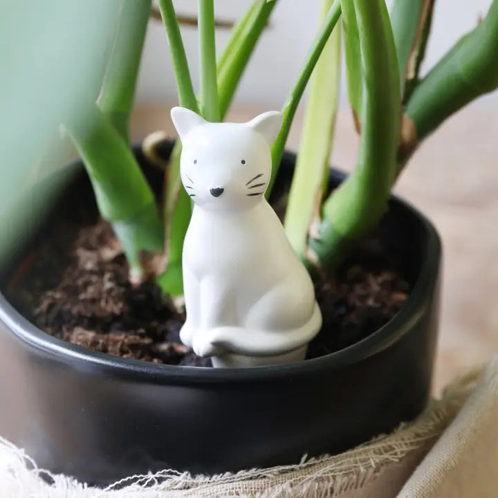 Cat Plant Watering Spike